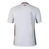 Fluminense FC Uitshirt 2025-26